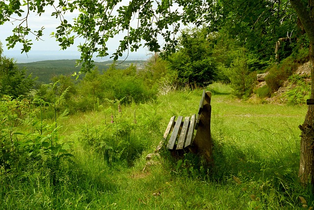 展现出的高 展现出的高