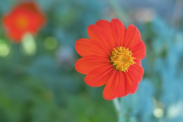 同的心态不 同的心态不