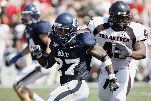 哈兰德的状 哈兰德的状